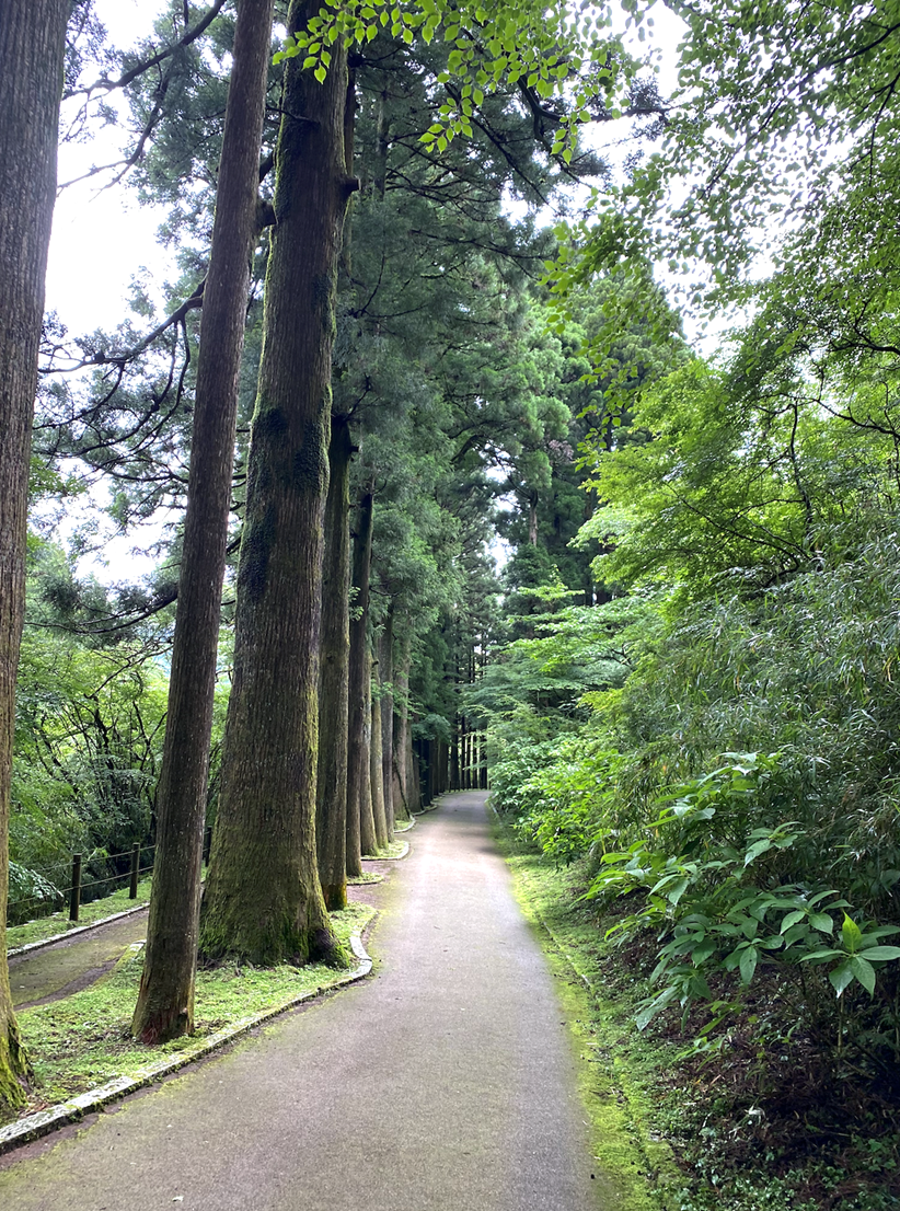 Hakone Park 